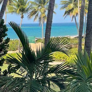 Meet your Posher, Iris